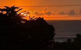 Tres Palmas Boutique Hotel